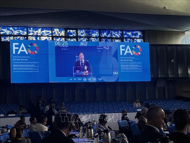 Vietnam presenta iniciativas en 43° período de sesiones de Conferencia de FAO ảnh 1 Vietnam presenta iniciativas en 43° período de sesiones de Conferencia de FAO ảnh 1