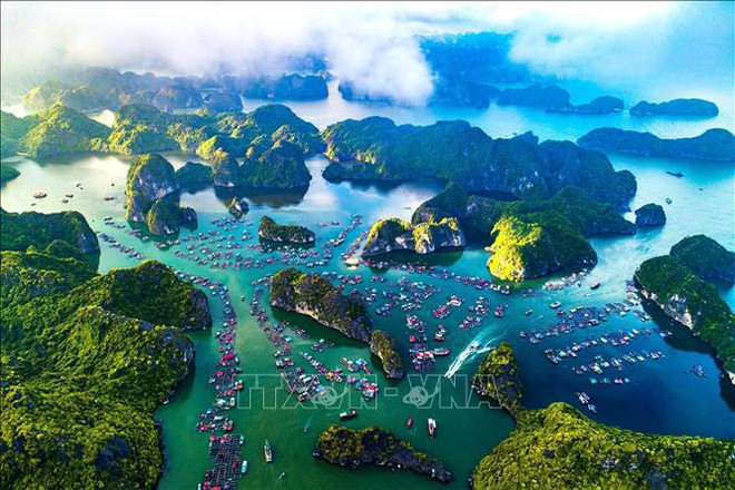 Vietnam trabaja por reconocimiento de UNESCO a zona Ha Long-Cat Ba como patrimonio mundial ảnh 1