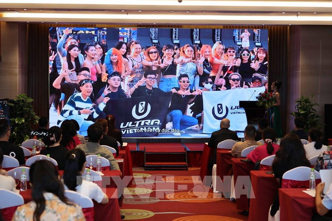 Organizarán Festival de Música Electrónica de ciudad de Da Nang ảnh 1