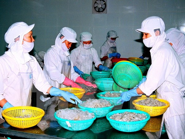 Efectúan en Hungría foro de empresarios vietnamitas residentes en Europa ảnh 1 Efectúan en Hungría foro de empresarios vietnamitas residentes en Europa ảnh 1