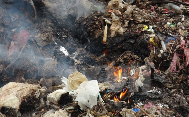 Responde Vietnam a campaña por un mundo más limpio ảnh 1