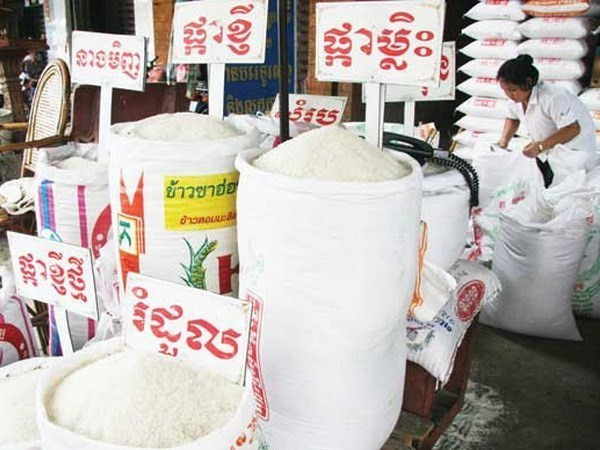 Camboya se esfuerza para estabilizar el precio del arroz ảnh 1