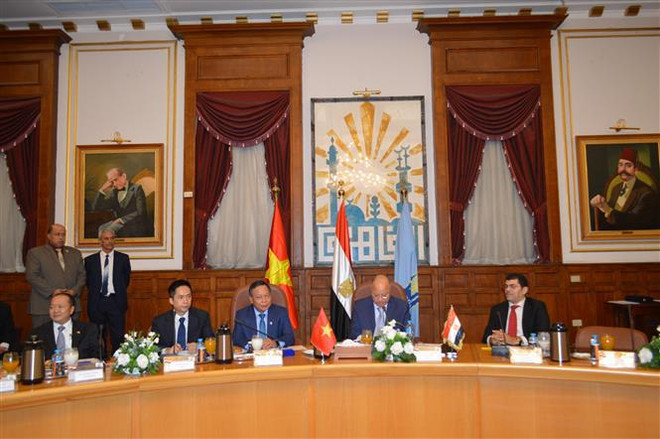 Hanoi y El Cairo buscan fortalecer cooperación integral ảnh 1 Hanoi y El Cairo buscan fortalecer cooperación integral ảnh 1