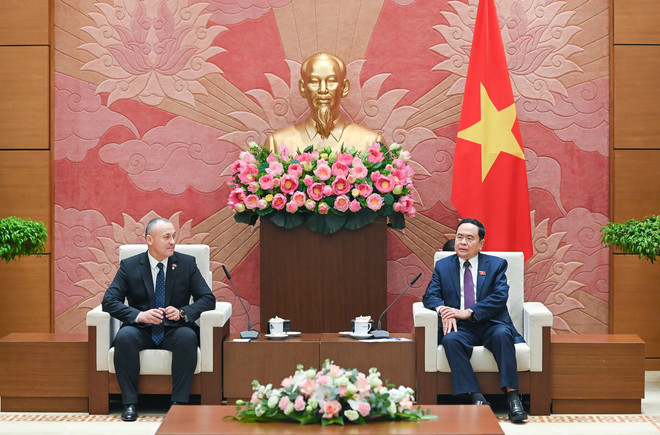 Agilizan cooperación entre parlamentos de Vietnam y Rumania ảnh 2 Agilizan cooperación entre parlamentos de Vietnam y Rumania ảnh 2