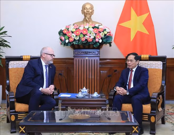 Vietnam aprecia aportes de Australia al Programa del Sudeste Asiático de la OCDE ảnh 1