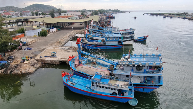 Provincia vietnamita maneja estrictamente actividades de pesca ilegal ảnh 1 Provincia vietnamita maneja estrictamente actividades de pesca ilegal ảnh 1