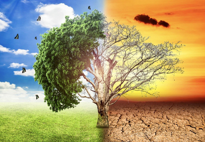Vietnam pide enfoque integral para abordar desafíos climáticos y ambientales ảnh 1 Vietnam pide enfoque integral para abordar desafíos climáticos y ambientales ảnh 1