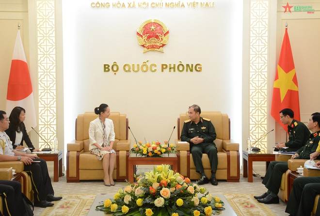 Vietnam y Japón impulsan cooperación en mantenimiento de paz de ONU ảnh 1 Vietnam y Japón impulsan cooperación en mantenimiento de paz de ONU ảnh 1