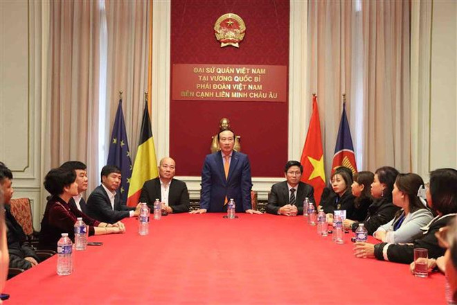 Robustecen intercambio comercial entre Vietnam y Bélgica ảnh 2 Robustecen intercambio comercial entre Vietnam y Bélgica ảnh 2