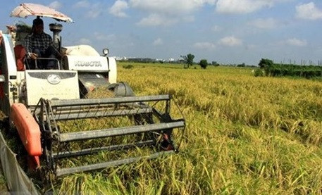 Vietnam y ASEAN prometen erradicar pobreza y garantizar seguridad alimentaria ảnh 1