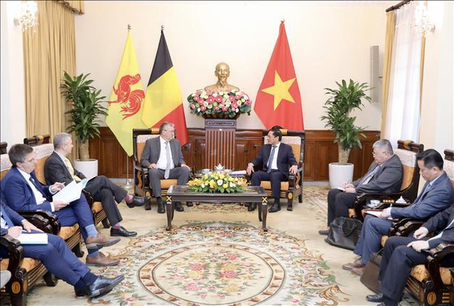 Vietnam, socio prioritario de Federación Valonia-Bruselas ảnh 2 Vietnam, socio prioritario de Federación Valonia-Bruselas ảnh 2