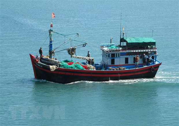 Localidades costeras de Vietnam ven mejores resultados en lucha contra pesca ilegal ảnh 1 Localidades costeras de Vietnam ven mejores resultados en lucha contra pesca ilegal ảnh 1