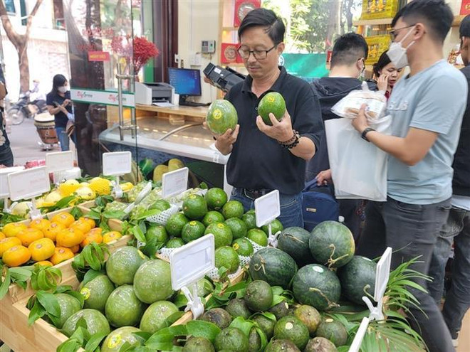 Inauguran una serie de puntos de venta de productos OCOP en Hanoi ảnh 1 Inauguran una serie de puntos de venta de productos OCOP en Hanoi ảnh 1