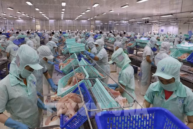 Consejero comercial de Vietnam en EE.UU. valora perspectiva de comercio bilateral ảnh 2