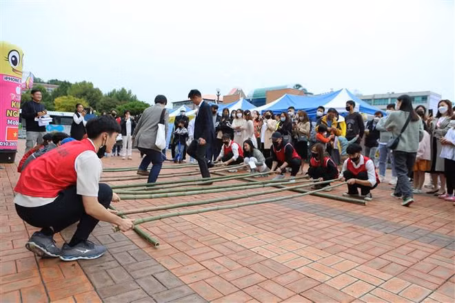 Fortalecen lazos entre Vietnam y Corea del Sur ảnh 2