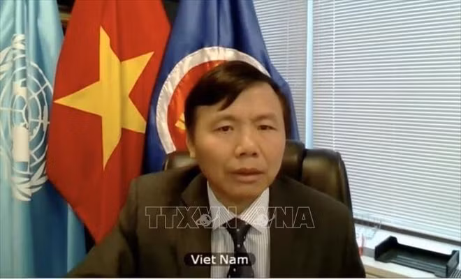 Vietnam insta a promover la Carta de la ONU para mantener la paz y seguridad internacional ảnh 1