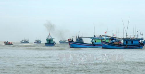 Provincia vietnamita intensifica lucha contra pesca ilegal ảnh 1 Provincia vietnamita intensifica lucha contra pesca ilegal ảnh 1