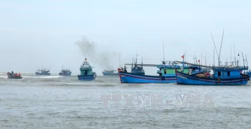 Provincia vietnamita intensifica lucha contra pesca ilegal ảnh 1 Provincia vietnamita intensifica lucha contra pesca ilegal ảnh 1
