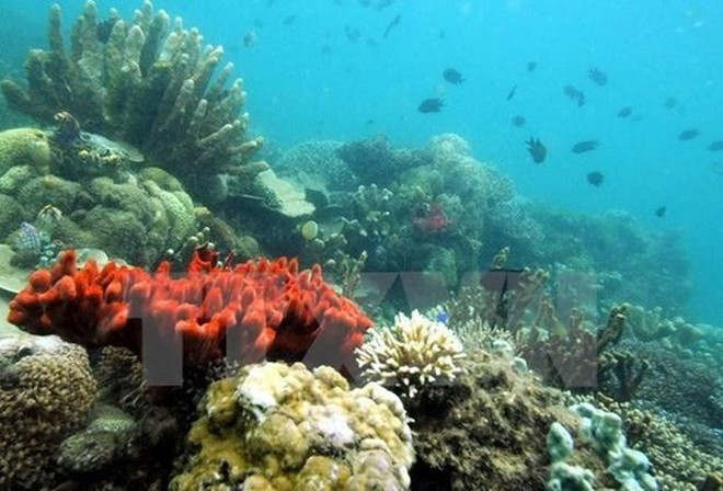 Vietnam acelera la investigación de recursos naturales y medio marino ảnh 1