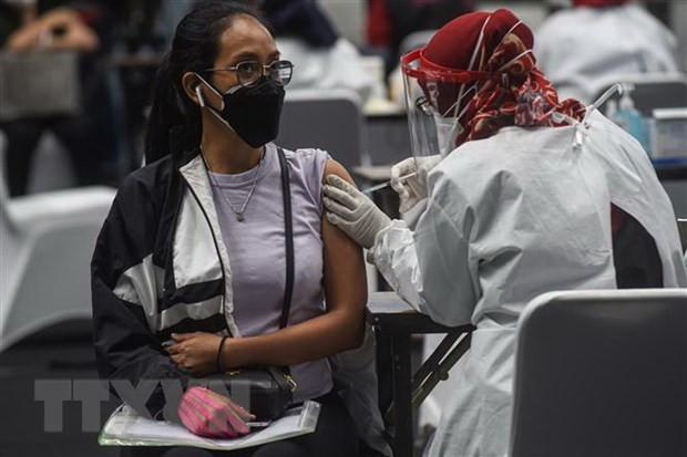Indonesia aplicará vacuna contra el COVID-19 a empleados de hoteles y restaurantes ảnh 1 Indonesia aplicará vacuna contra el COVID-19 a empleados de hoteles y restaurantes ảnh 1