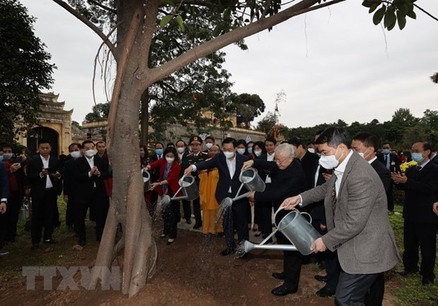 Lanzan movimiento de plantación de árboles en Hanoi ảnh 1 Lanzan movimiento de plantación de árboles en Hanoi ảnh 1