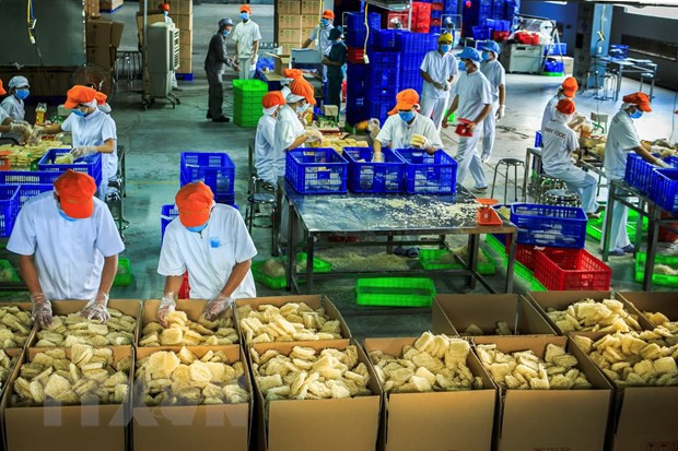 Provincia vietnamita entre las 21 ciudades inteligentes del mundo ảnh 2 Provincia vietnamita entre las 21 ciudades inteligentes del mundo ảnh 2