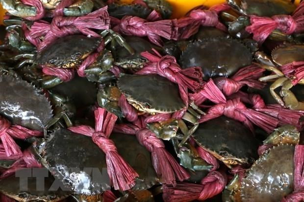 Especialidades de Ca Mau figuran entre las 100 más famosas de Vietnam ảnh 1 Especialidades de Ca Mau figuran entre las 100 más famosas de Vietnam ảnh 1