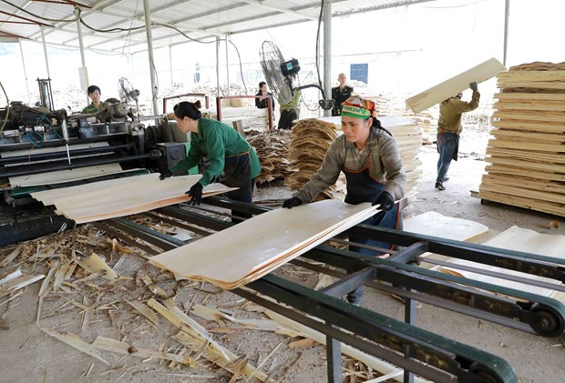 ASEAN publica informe sobre productividad laboral regional ảnh 1 ASEAN publica informe sobre productividad laboral regional ảnh 1