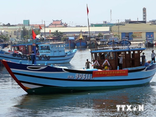 Provincia vietnamita de Bac Lieu por elevar conciencia sobre pesca ilegal ảnh 1 Provincia vietnamita de Bac Lieu por elevar conciencia sobre pesca ilegal ảnh 1