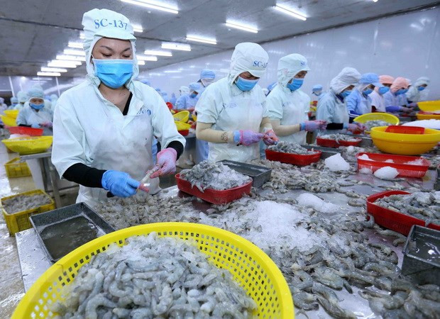 Vietnam espera una fuerte recuperación del consumo de mariscos ảnh 1 Vietnam espera una fuerte recuperación del consumo de mariscos ảnh 1