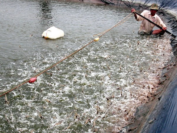 Provincia vietnamita busca avanzar con desarrollo de economía marítima ảnh 2 Provincia vietnamita busca avanzar con desarrollo de economía marítima ảnh 2