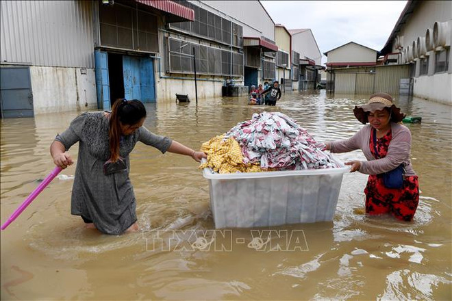 Fuertes lluvias provocan inundaciones en localidades de Camboya ảnh 1