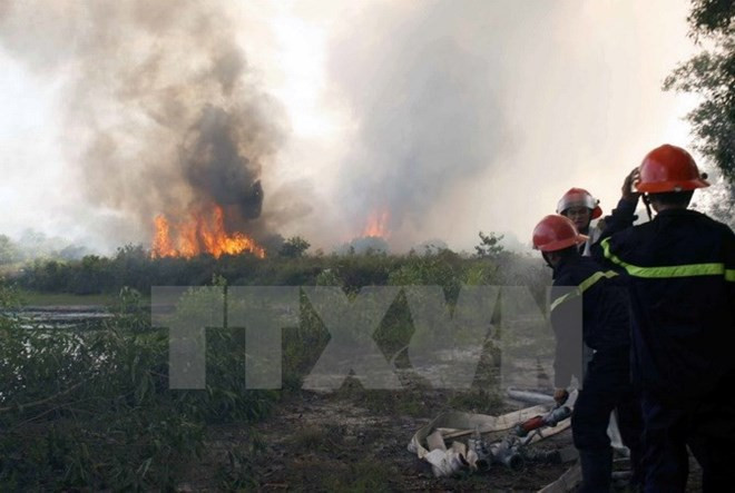 Provincia vietnamita de Bac Giang refuerza prevención contra incendios forestales ảnh 1 Provincia vietnamita de Bac Giang refuerza prevención contra incendios forestales ảnh 1