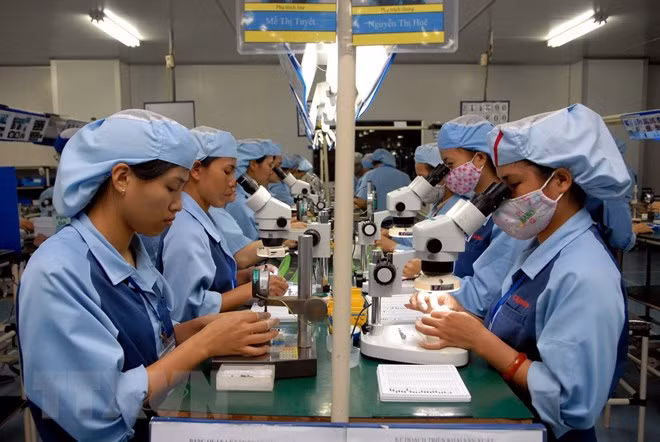 Provincia vietnamita proyecta enviar mil trabajadores al exterior ảnh 1