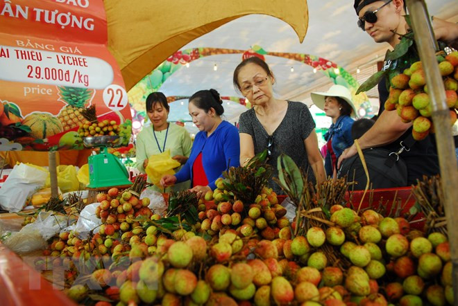 Festival de Frutas del Sur de Vietnam presentará la diversidad de productos locales ảnh 1 Festival de Frutas del Sur de Vietnam presentará la diversidad de productos locales ảnh 1