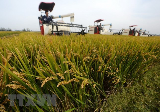 Países del Sudeste Asiático serán afectados severamente por cambio climático ảnh 1 Países del Sudeste Asiático serán afectados severamente por cambio climático ảnh 1
