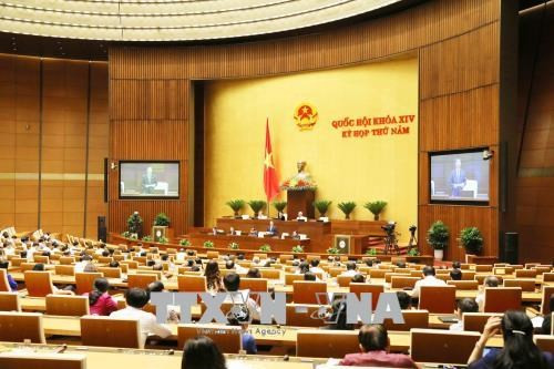 Enmiendas a Ley de Denuncias y de Competencia centran mesa de debate del Parlamento vietnamita ảnh 1 Enmiendas a Ley de Denuncias y de Competencia centran mesa de debate del Parlamento vietnamita ảnh 1