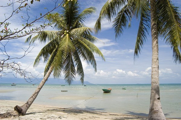 Playas vietnamitas entre los mejores lugares para vacacionistas, según Thrillist ảnh 1