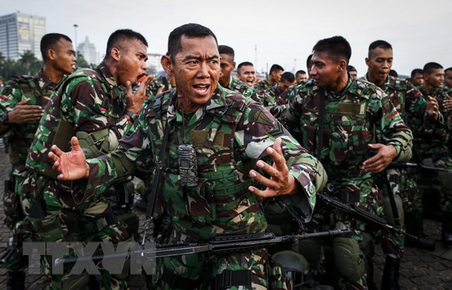 Indonesia considera crear una fuerza especial contra terrorismo ảnh 1
