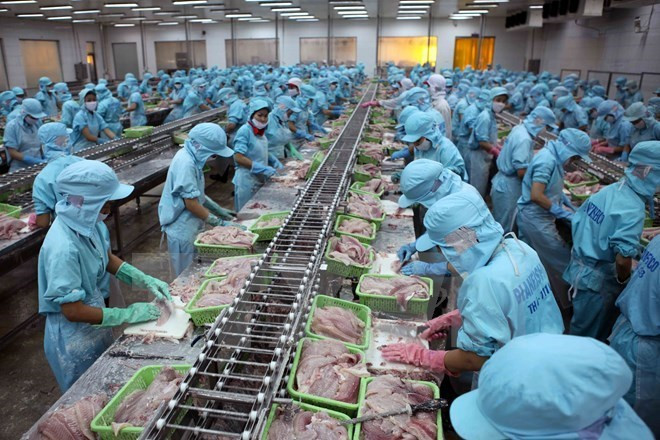 Aumentan exportaciones de pescado Tra vietnamita a China ảnh 1