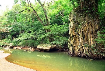 Presentan tour conquista de Hang Toi – “mini – Son Doong” ảnh 3 Presentan tour conquista de Hang Toi – “mini – Son Doong” ảnh 3