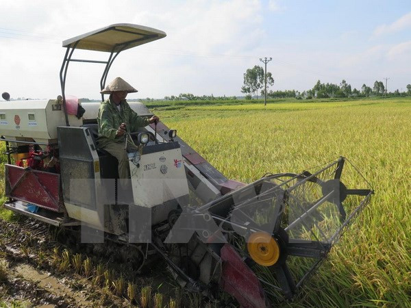 Vietnam y Japón robustecen cooperación en agricultura ảnh 1