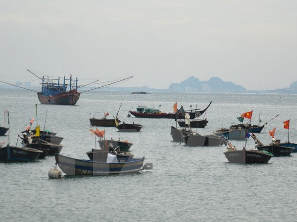 Desafíos y orientación de la conservación marina en Vietnam ảnh 1 Desafíos y orientación de la conservación marina en Vietnam ảnh 1