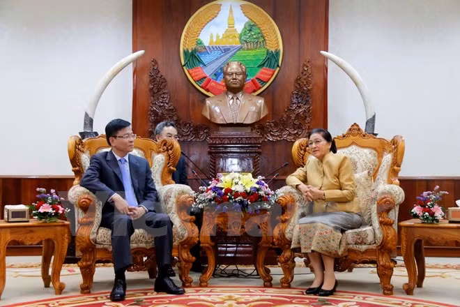 Vietnam y Laos robustecen cooperación jurídica ảnh 1