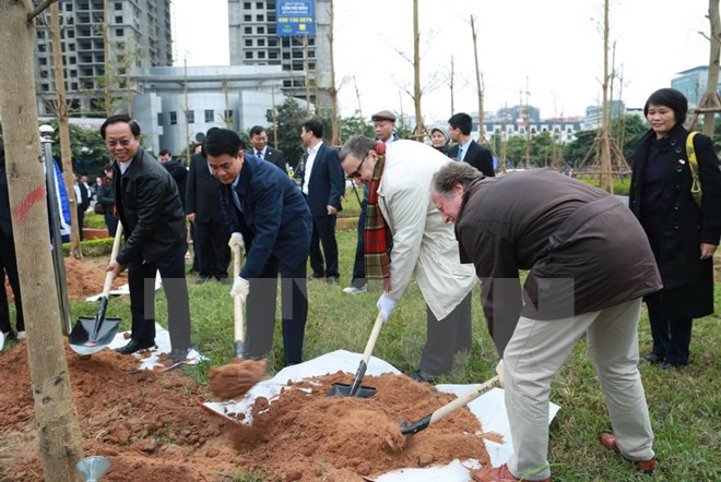 Hanoi planta 100 árboles para conmemorar centenario del Día de la independencia de Finlandia ảnh 1 Hanoi planta 100 árboles para conmemorar centenario del Día de la independencia de Finlandia ảnh 1