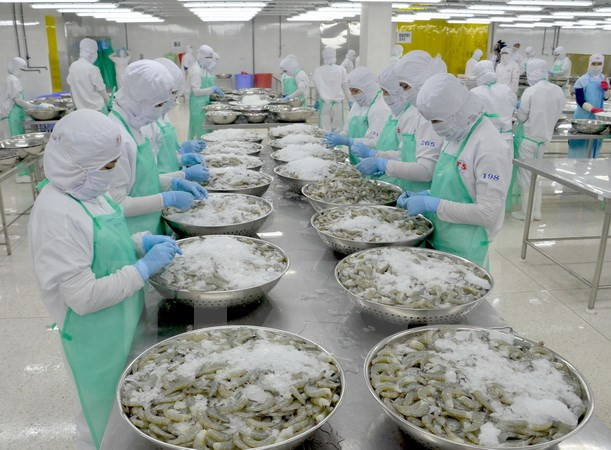 Exportaciones de mariscos vietnamitas alcanzarán ocho mil millones de dólares en 2017 ảnh 1 Exportaciones de mariscos vietnamitas alcanzarán ocho mil millones de dólares en 2017 ảnh 1