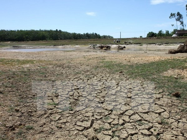 Urgen más recursos financieros para enfrentar cambio climático en Delta del Mekong de Vietnam ảnh 1 Urgen más recursos financieros para enfrentar cambio climático en Delta del Mekong de Vietnam ảnh 1