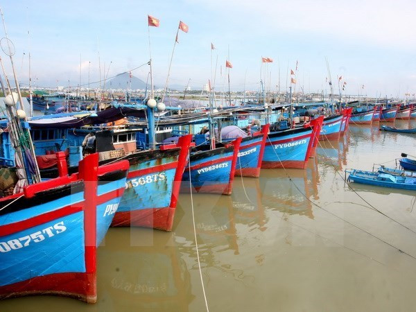 Provincia vietnamita de Nam Dinh se fuerza por impulsar progreso de economía marítima ảnh 1  Provincia vietnamita de Nam Dinh se fuerza por impulsar progreso de economía marítima ảnh 1