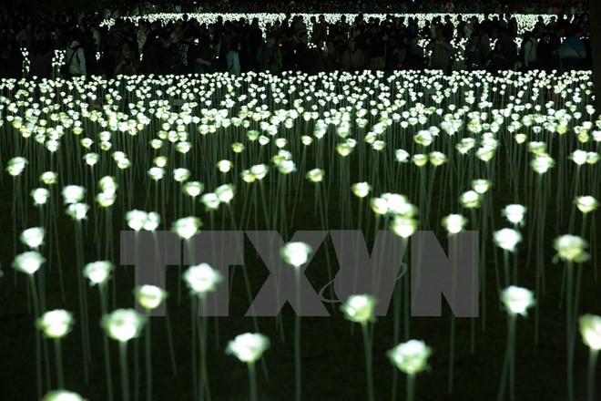 Australia comparte con Vietnam experiencias comunicativas para promover actividades científicas ảnh 1