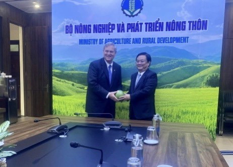 Vietnam por exportar productos agrícolas a Estados Unidos ảnh 3 Vietnam por exportar productos agrícolas a Estados Unidos ảnh 3